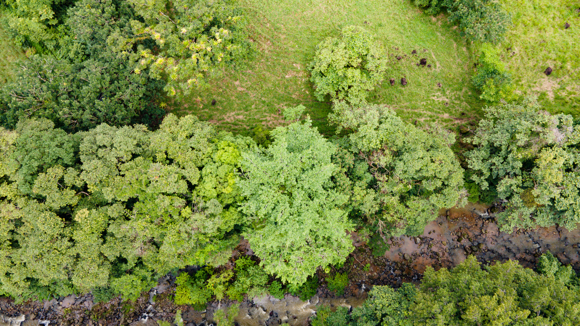 0 bed Land For Sale in Ojochal, Puntarenas - thumb 14