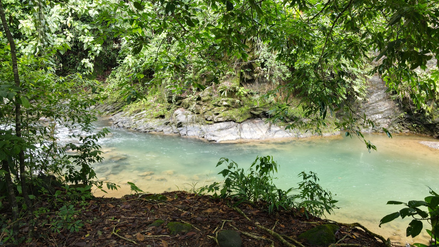 0 bed Land For Sale in Ojochal, Puntarenas - thumb 3