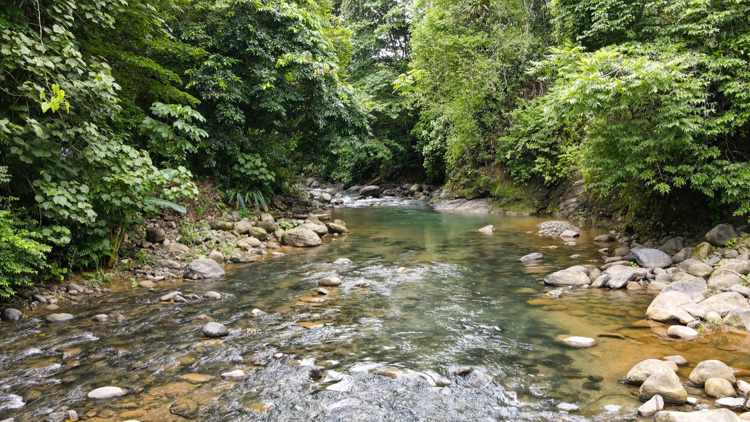 0 bed Land For Sale in Ojochal, Puntarenas - thumb 2