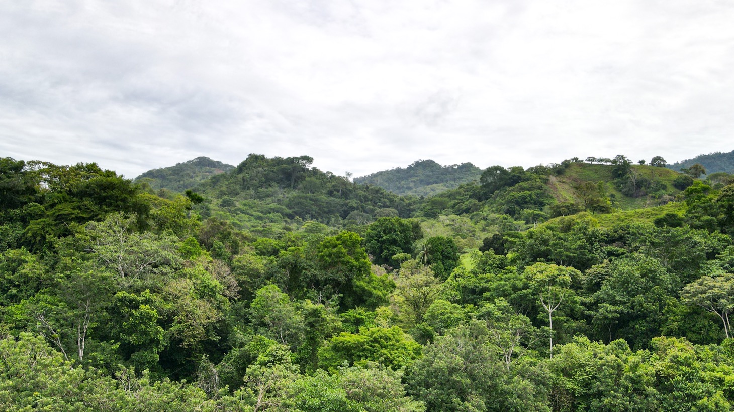 0 bed Land For Sale in Ojochal, Puntarenas - thumb 23