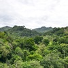  - 1.46 Acre River And Mountain View Property For Sale In Tres Rios, Costa Rica