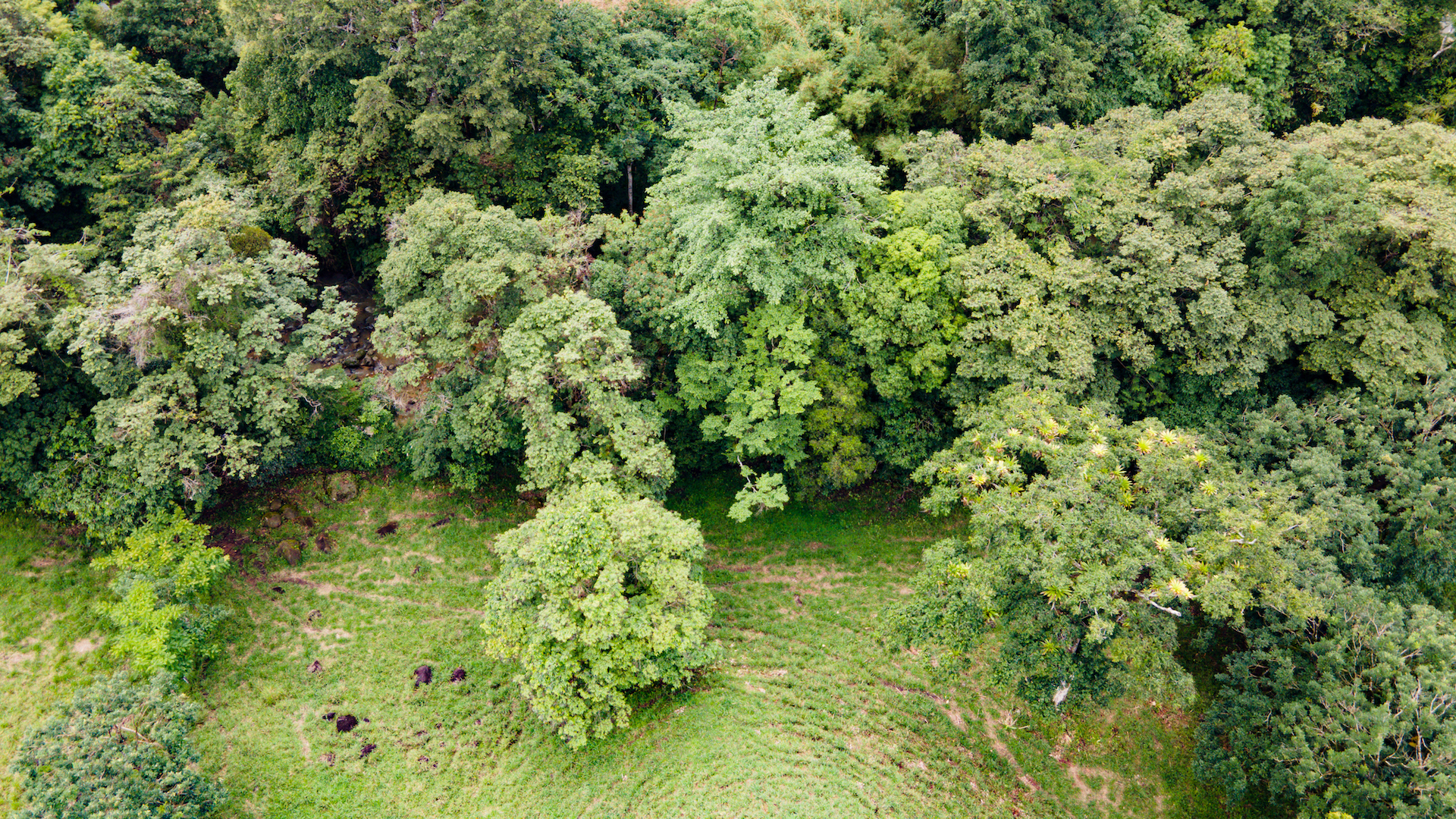 0 bed Land For Sale in Ojochal, Puntarenas - thumb 12