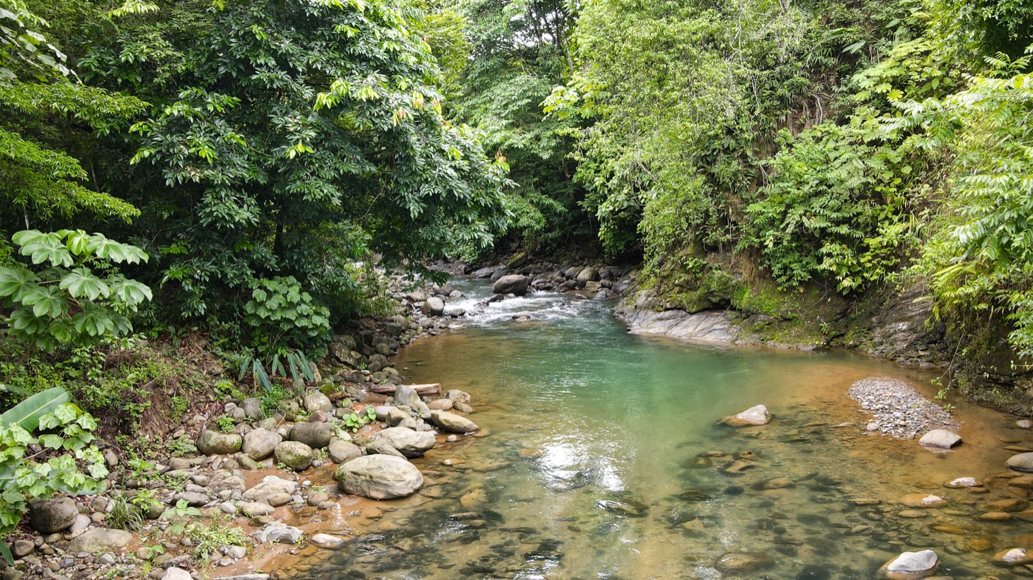 0 bed Land For Sale in Ojochal, Puntarenas - thumb 5