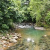  - 1.46 Acre River And Mountain View Property For Sale In Tres Rios, Costa Rica