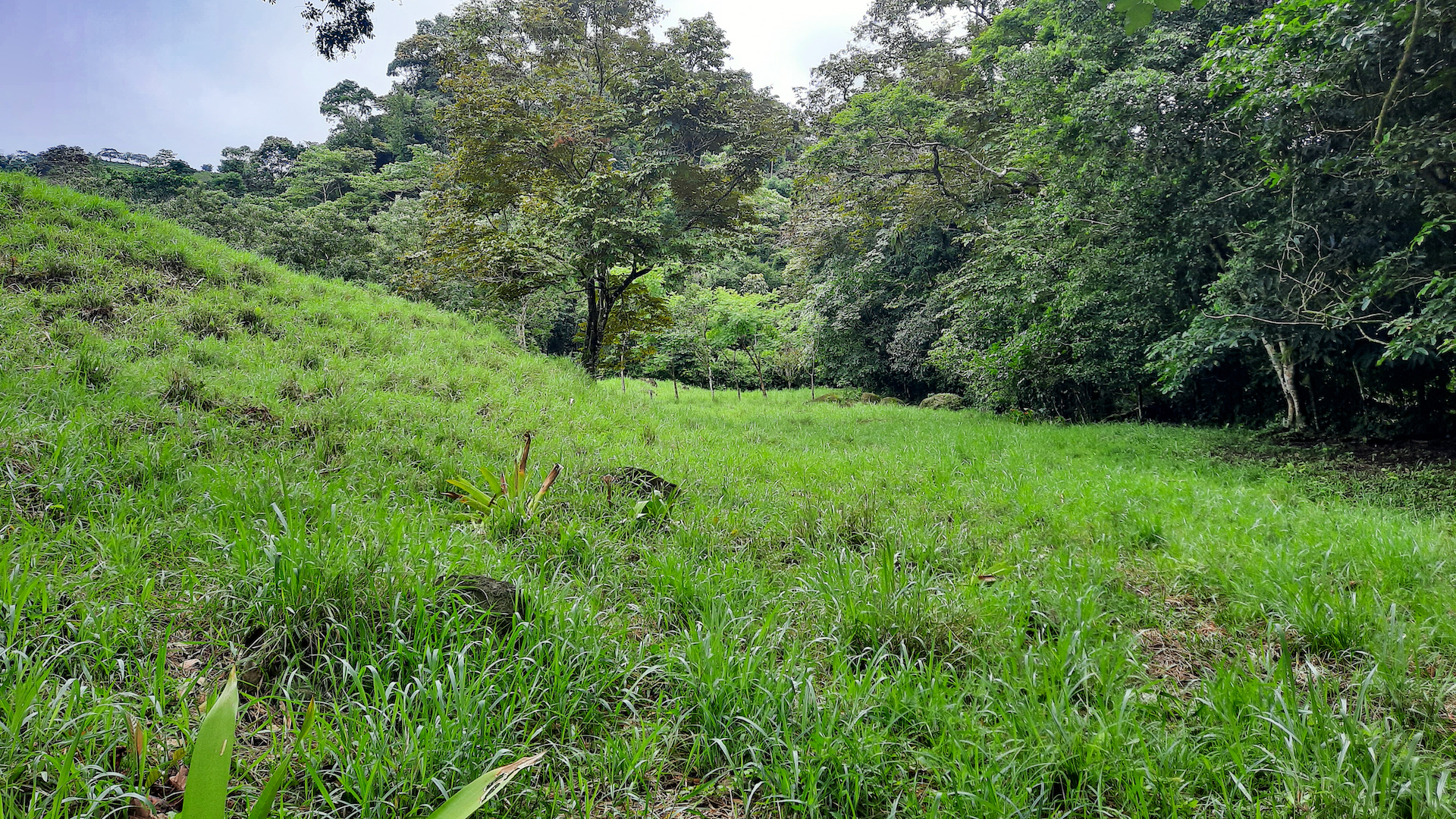 0 bed Land For Sale in Ojochal, Puntarenas - thumb 9