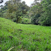  - 1.46 Acre River And Mountain View Property For Sale In Tres Rios, Costa Rica