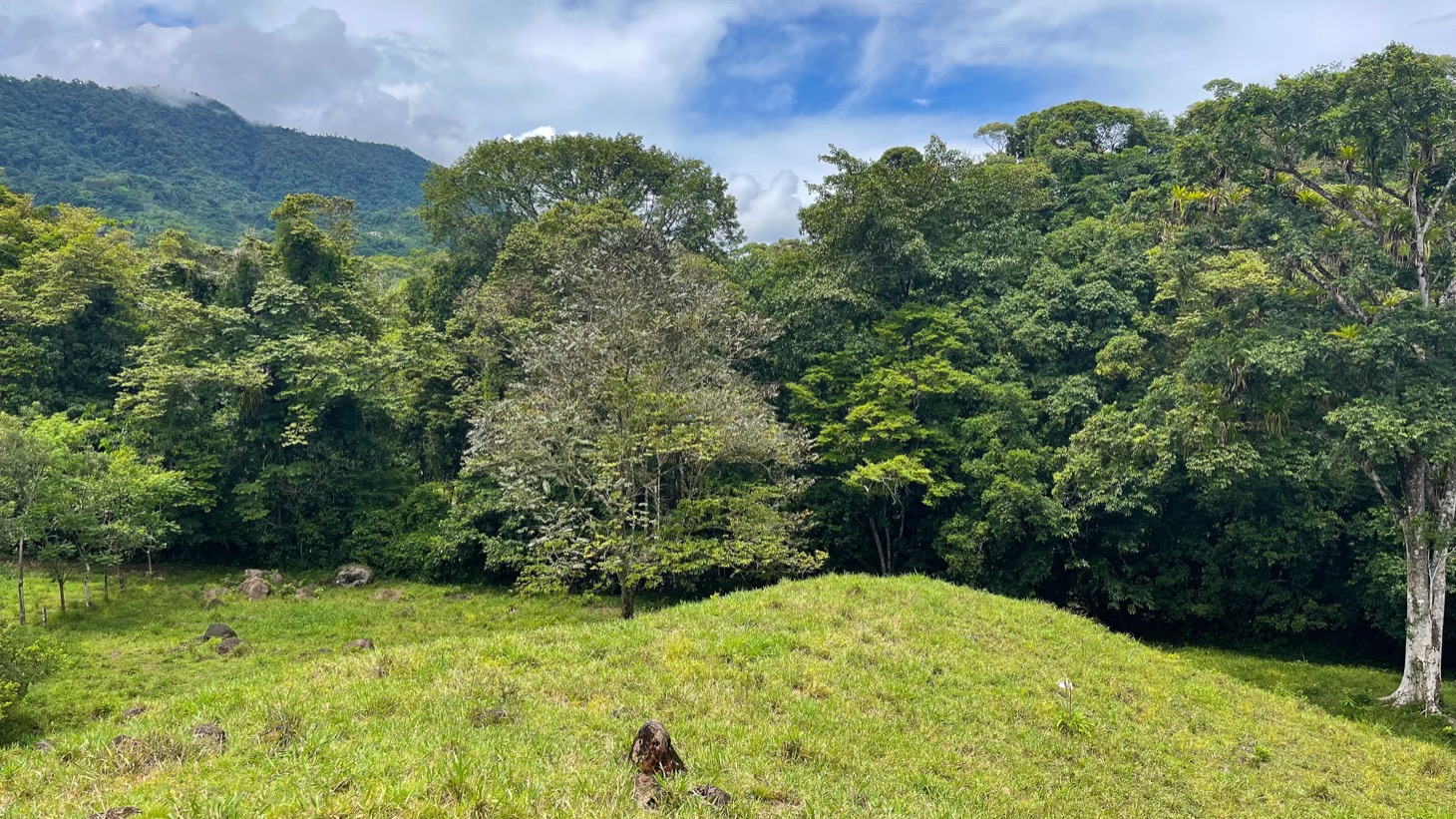 0 bed Land For Sale in Ojochal, Puntarenas - thumb 11