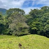  - 1.46 Acre River And Mountain View Property For Sale In Tres Rios, Costa Rica