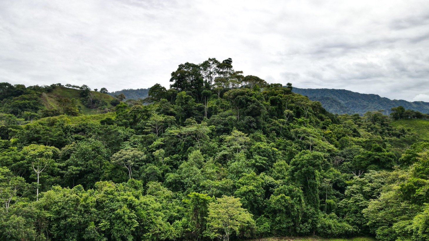 0 bed Land For Sale in Ojochal, Puntarenas - thumb 22