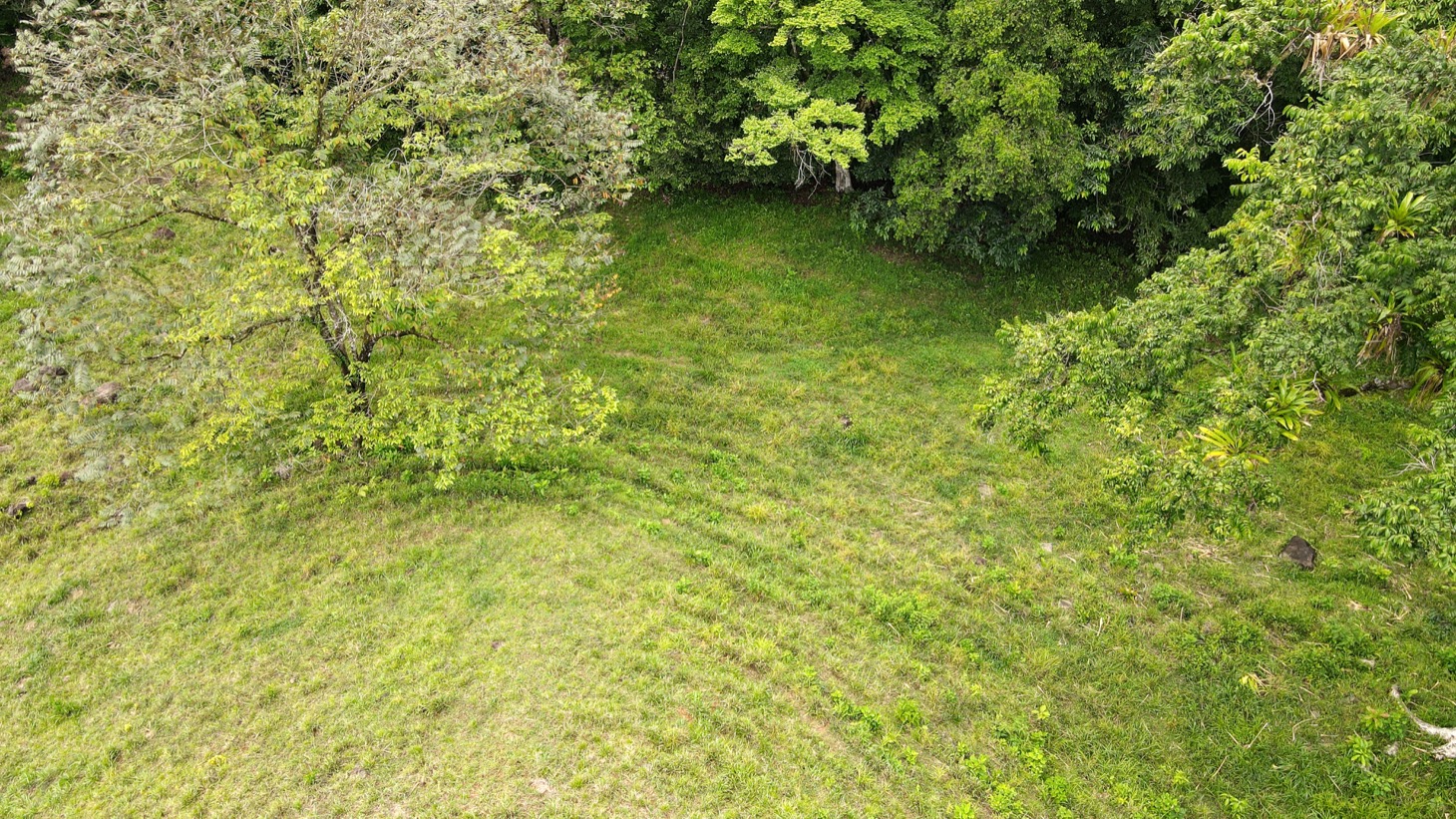 0 bed Land For Sale in Ojochal, Puntarenas - thumb 19