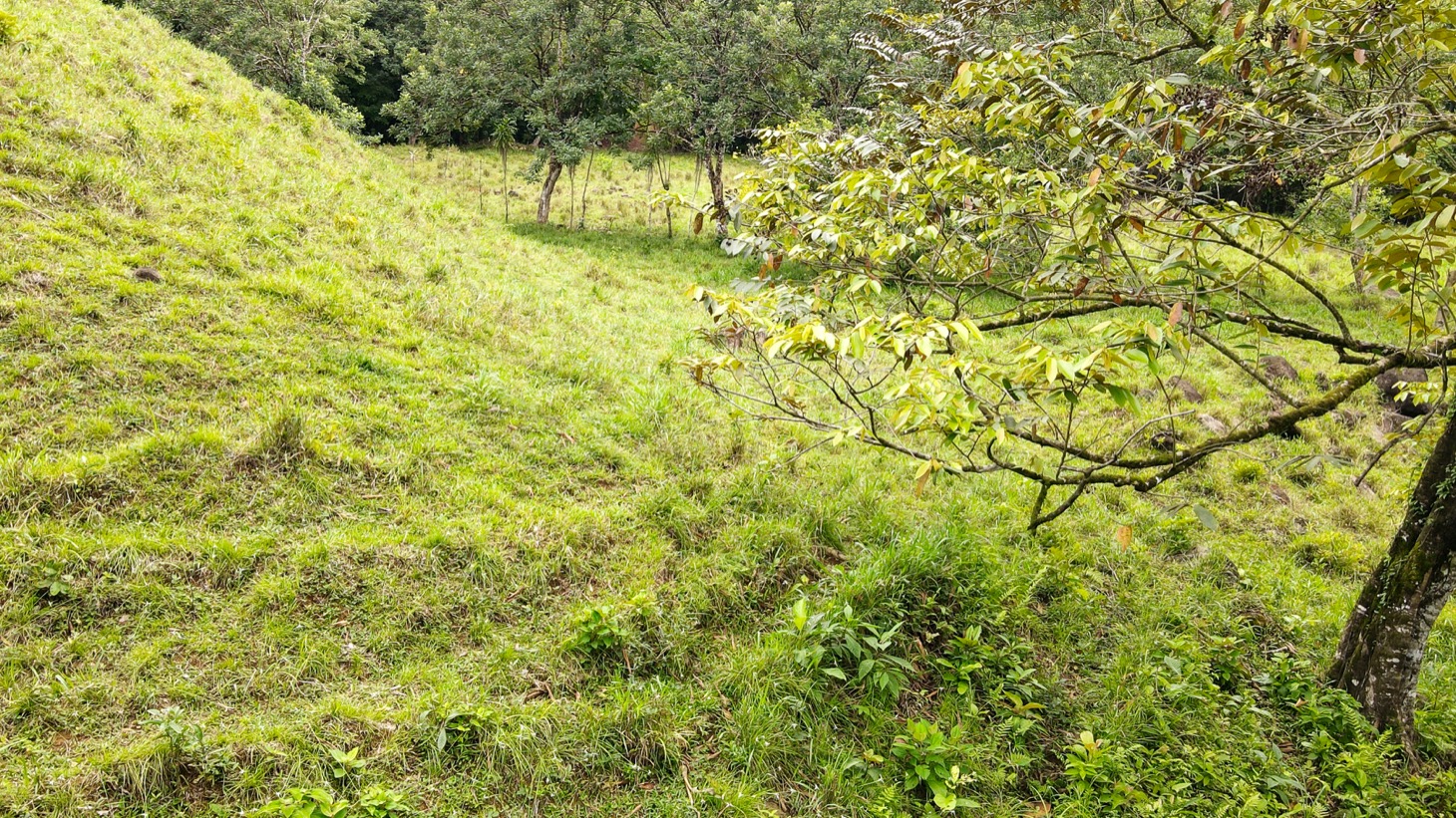 0 bed Land For Sale in Ojochal, Puntarenas - thumb 20