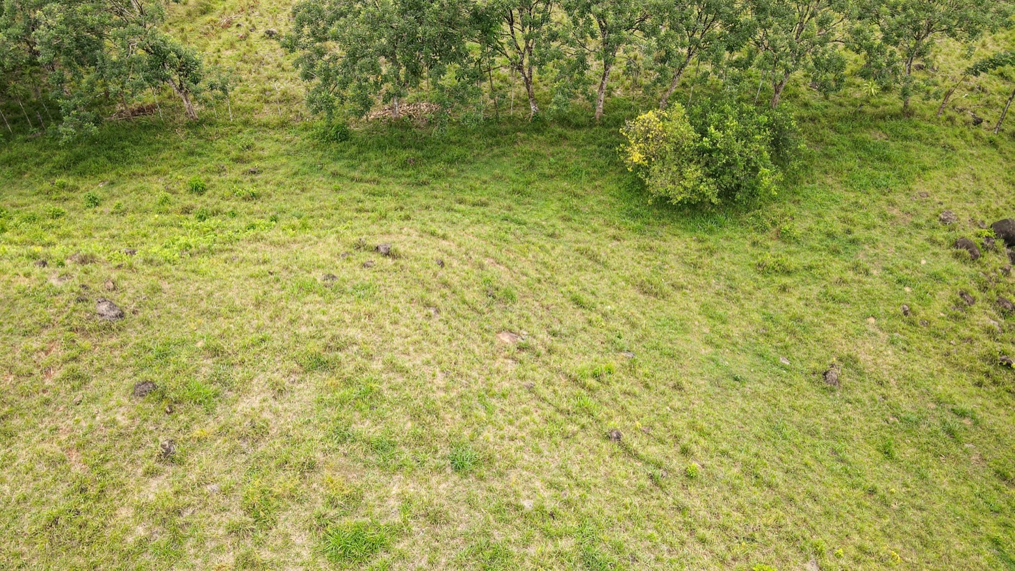 0 bed Land For Sale in Ojochal, Puntarenas - thumb 18