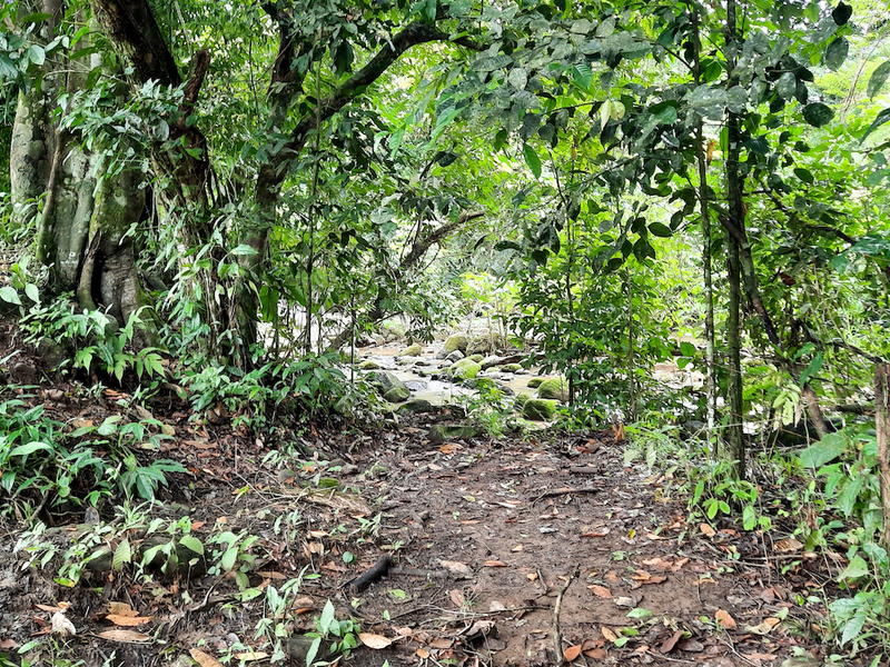 0 bed Land For Sale in Ojochal, Puntarenas - 1