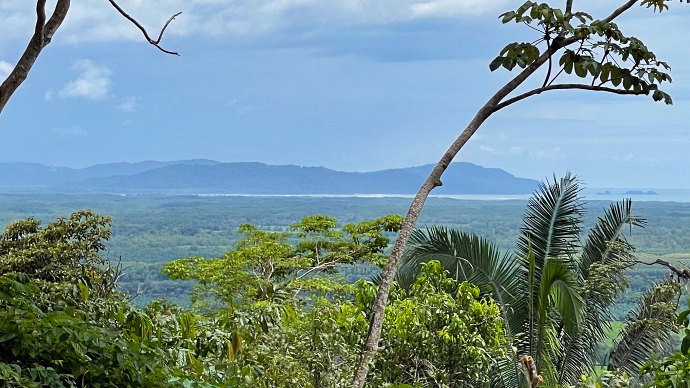 0 bed Land For Sale in Ojochal, Puntarenas - thumb 11