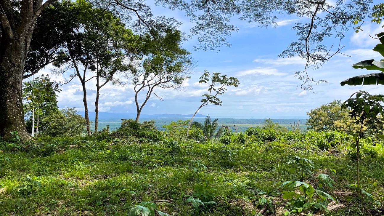 0 bed Land For Sale in Ojochal, Puntarenas - thumb 1
