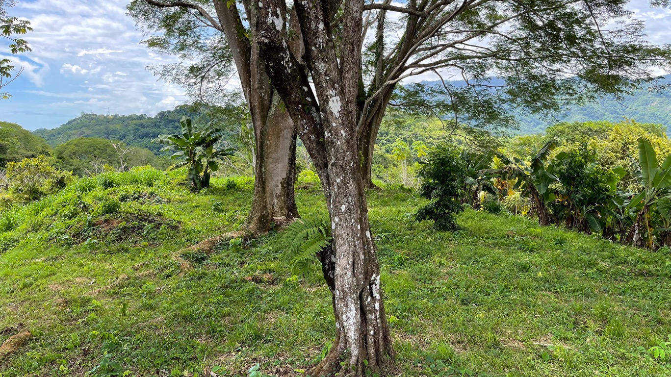 0 bed Land For Sale in Ojochal, Puntarenas - thumb 21