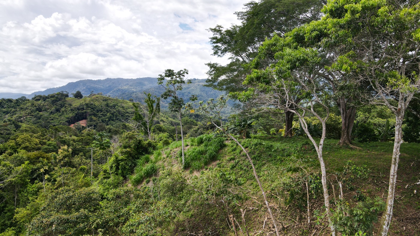 0 bed Land For Sale in Ojochal, Puntarenas - thumb 4