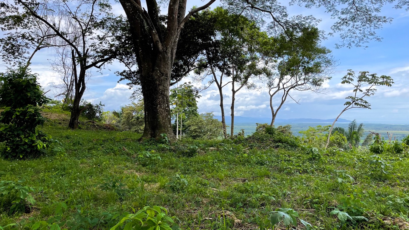 0 bed Land For Sale in Ojochal, Puntarenas - thumb 2