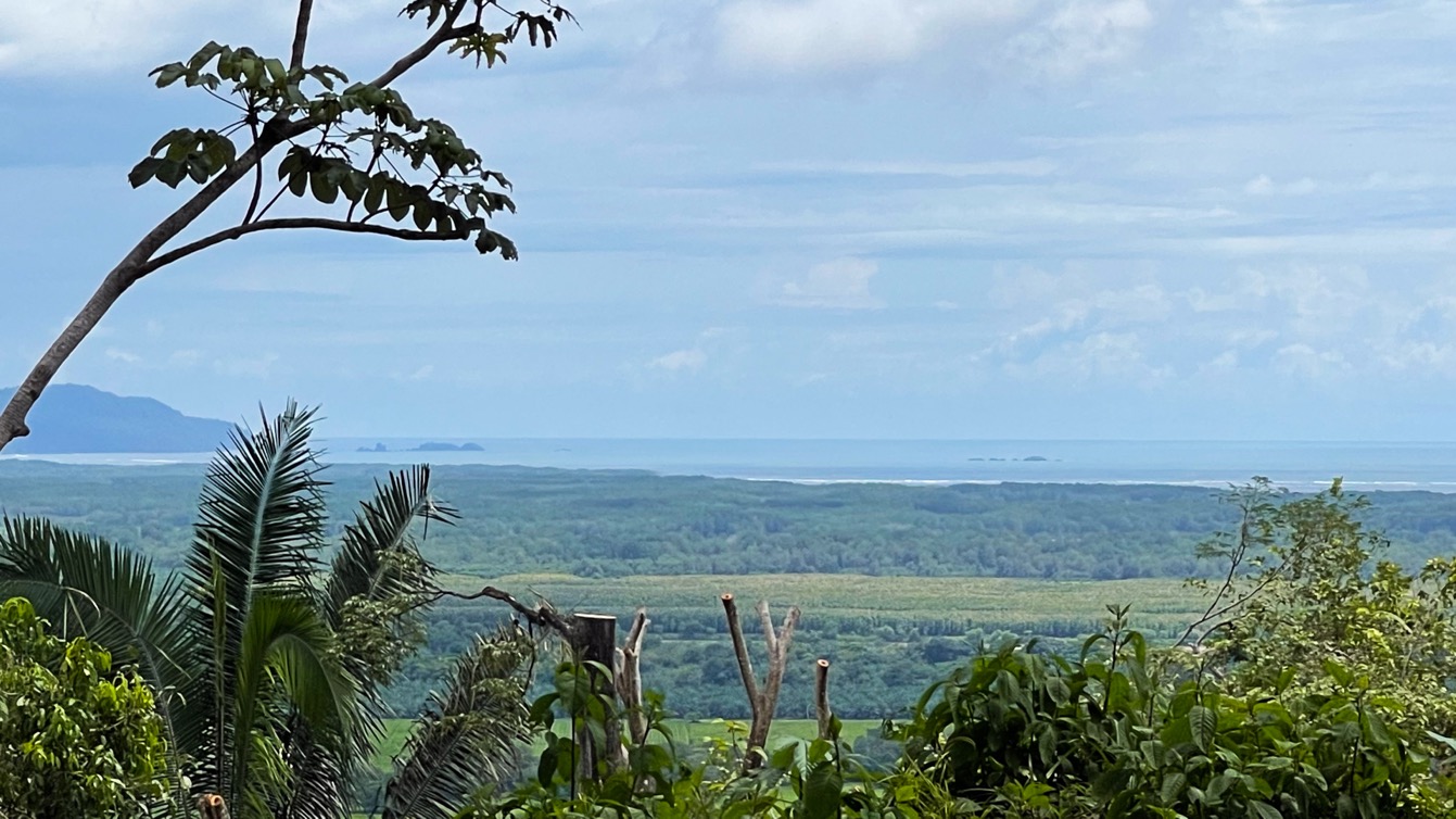 0 bed Land For Sale in Ojochal, Puntarenas - thumb 20