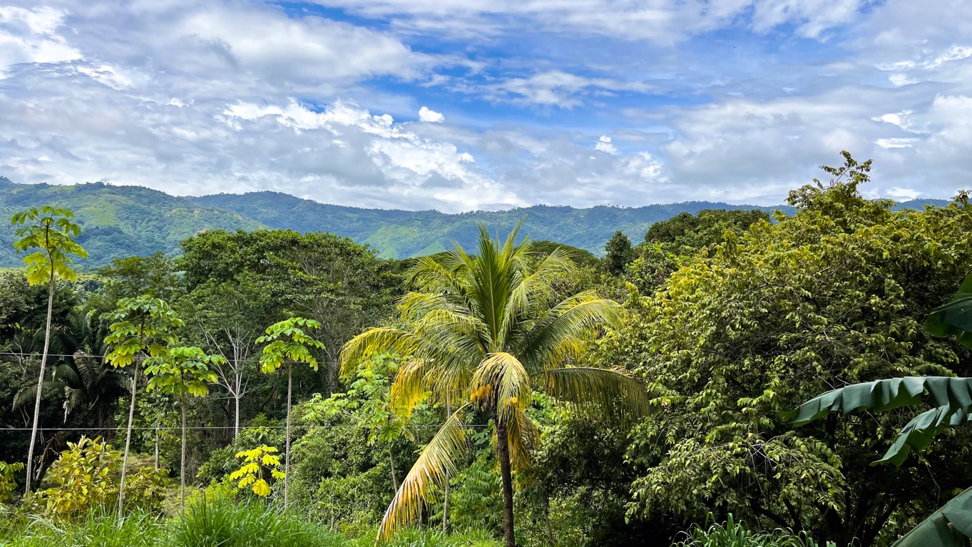 0 bed Land For Sale in Ojochal, Puntarenas - thumb 6