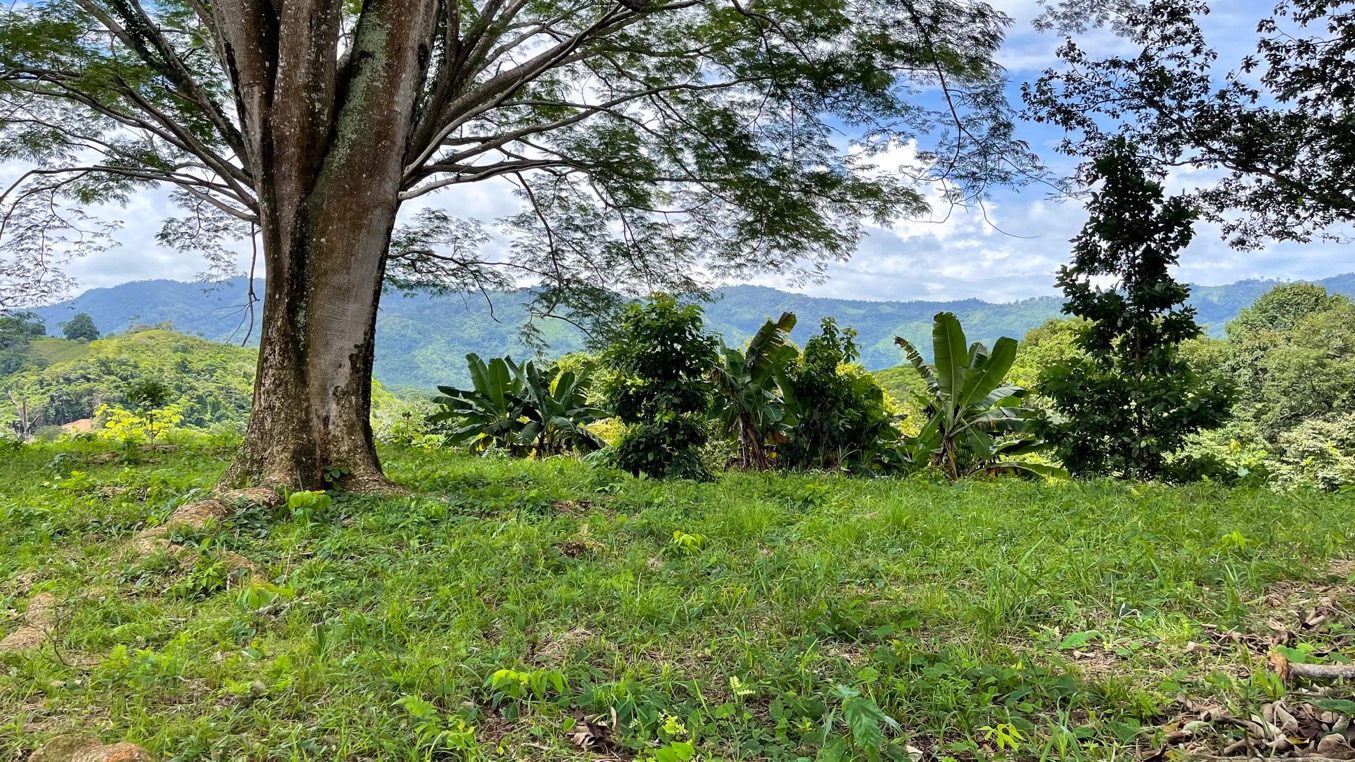 0 bed Land For Sale in Ojochal, Puntarenas - thumb 16