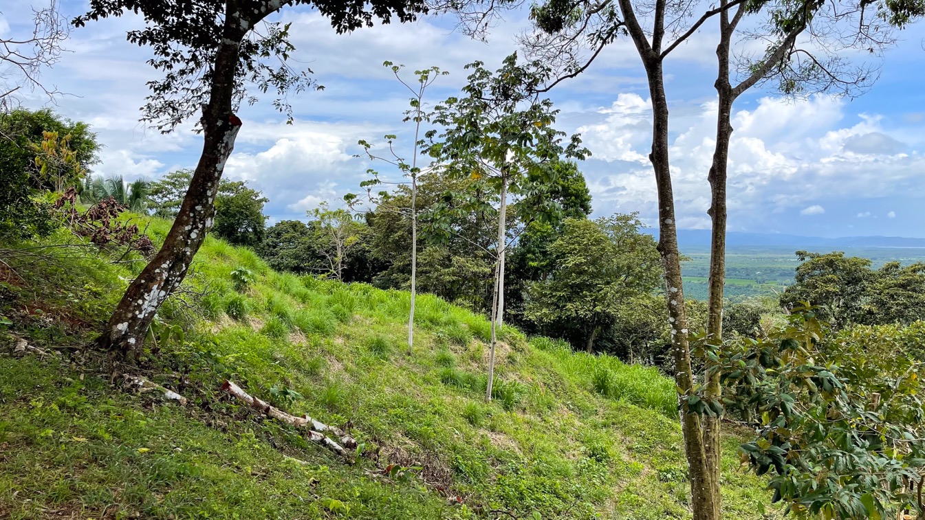 0 bed Land For Sale in Ojochal, Puntarenas - thumb 27
