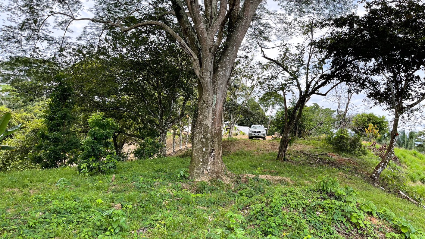 0 bed Land For Sale in Ojochal, Puntarenas - thumb 17