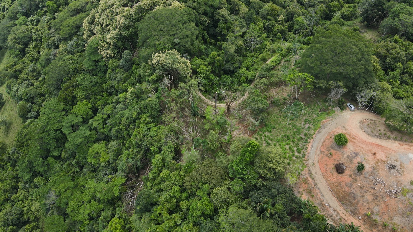 0 bed Land For Sale in Ojochal, Puntarenas - thumb 8