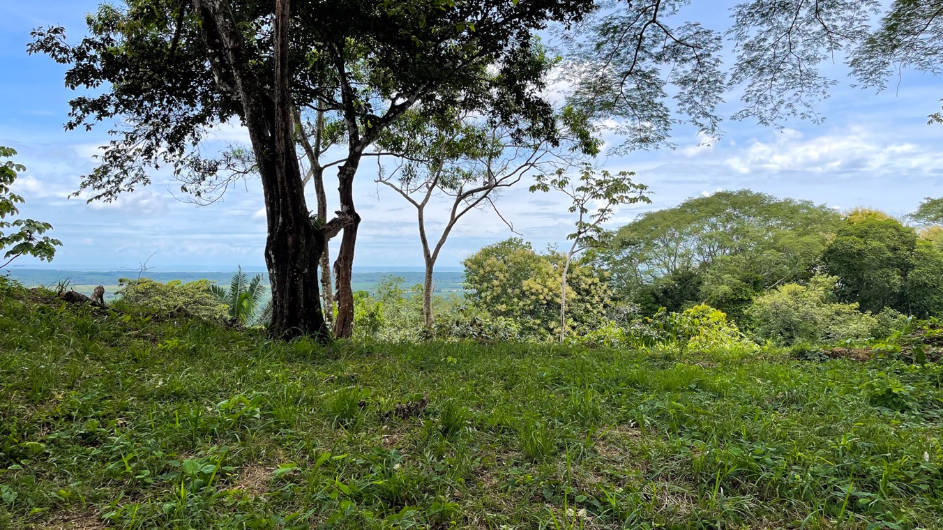 0 bed Land For Sale in Ojochal, Puntarenas - thumb 13