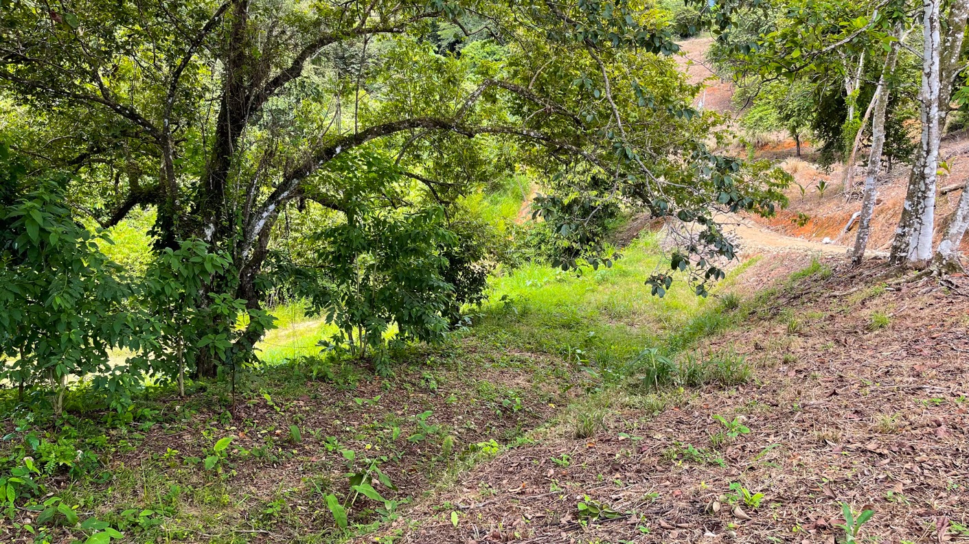 0 bed Land For Sale in Ojochal, Puntarenas - thumb 22