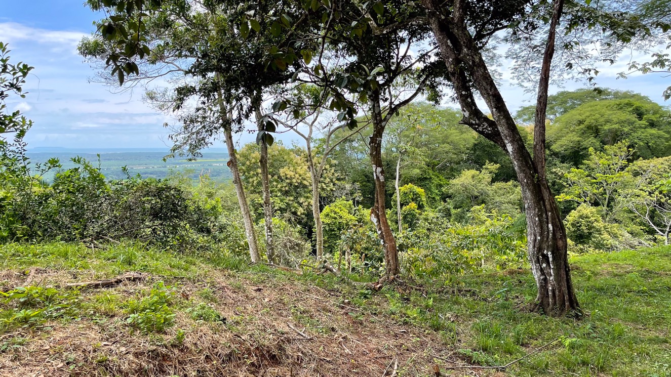 0 bed Land For Sale in Ojochal, Puntarenas - thumb 23
