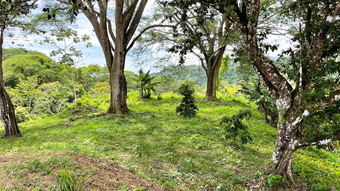 0 bed Land For Sale in Ojochal, Puntarenas - thumb 24