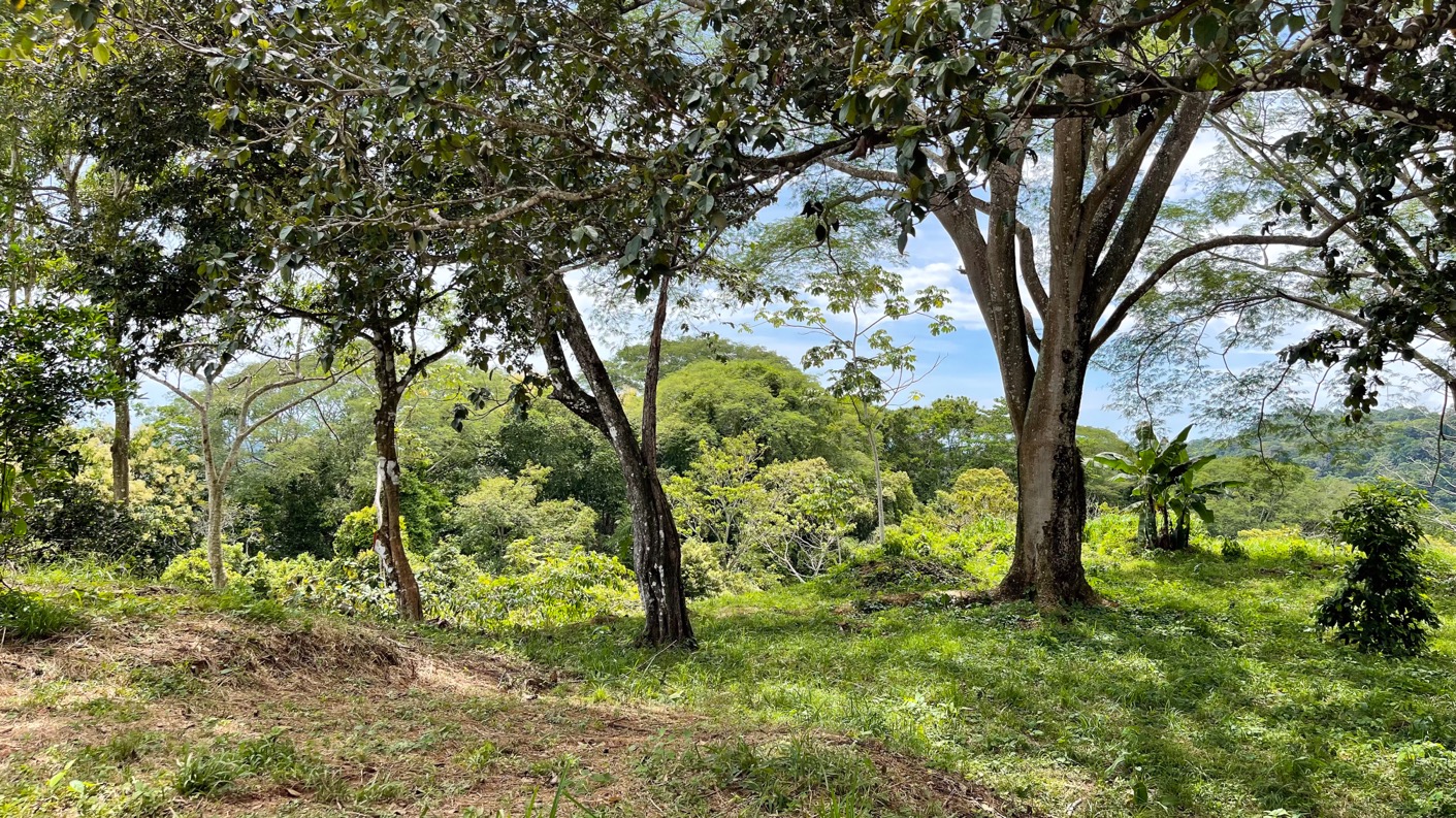 0 bed Land For Sale in Ojochal, Puntarenas - thumb 28