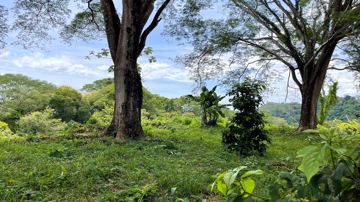 0 bed Land For Sale in Ojochal, Puntarenas - thumb 3