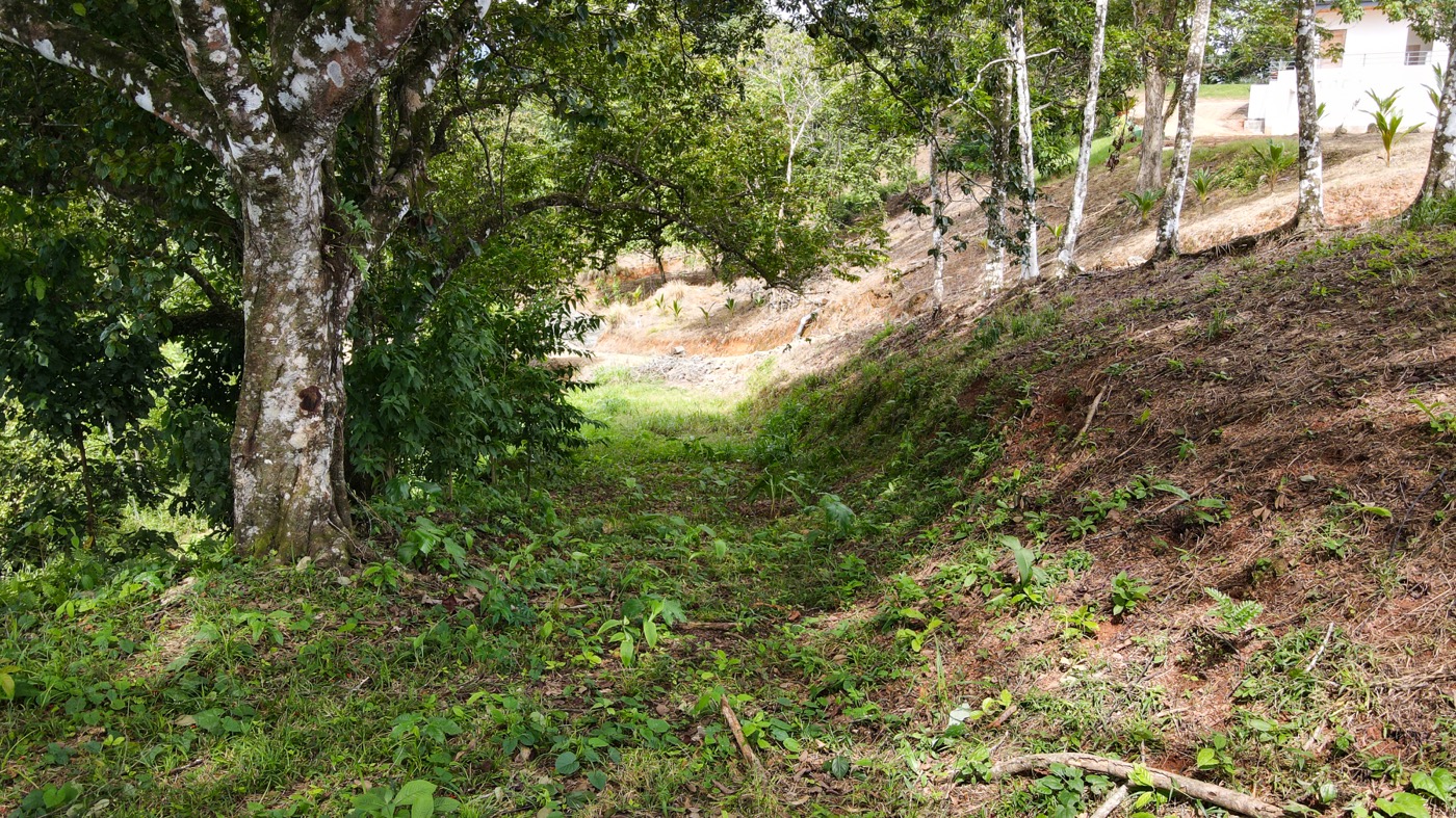 0 bed Land For Sale in Ojochal, Puntarenas - thumb 5
