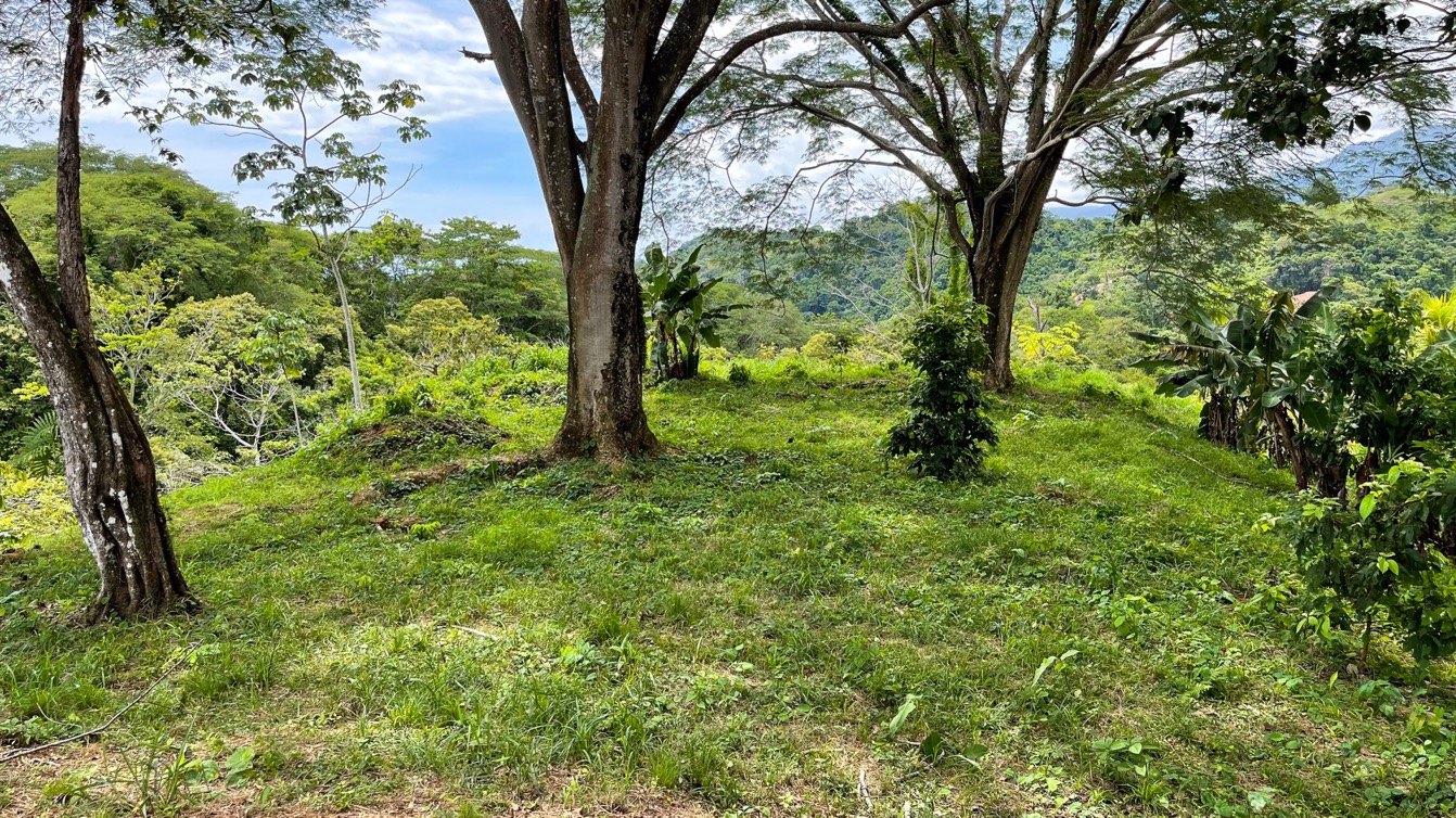 0 bed Land For Sale in Ojochal, Puntarenas - thumb 12