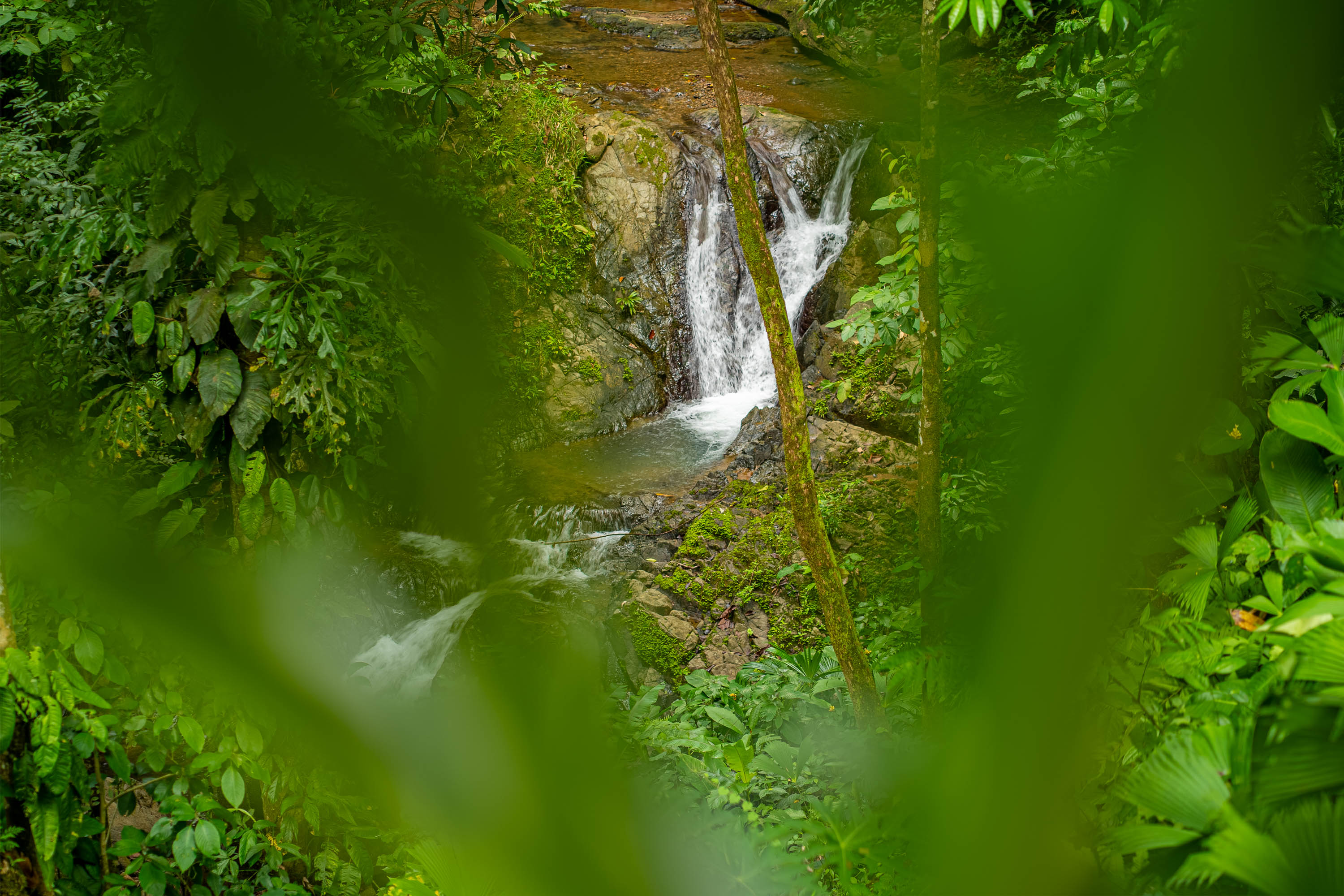 2 bed Single Family Homes For Sale in Ojochal, Puntarenas - thumb 25