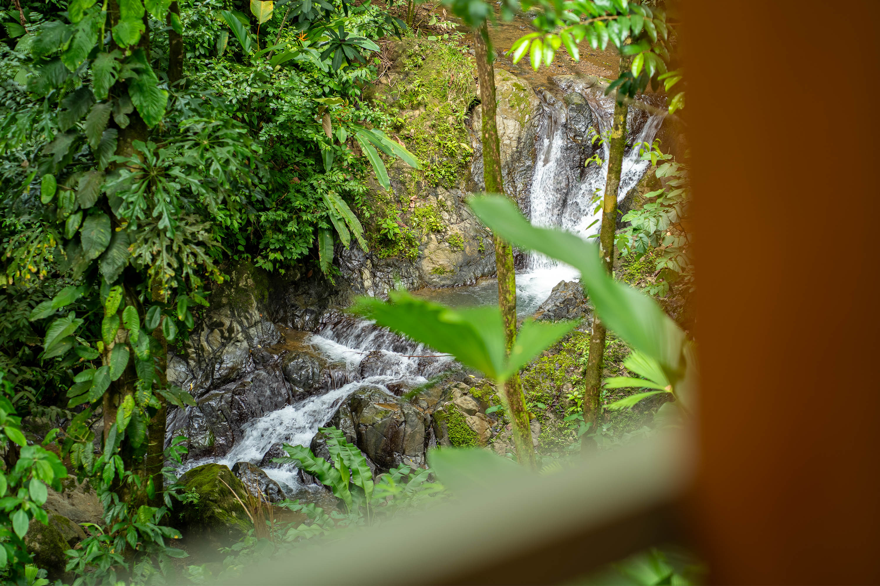 2 bed Single Family Homes For Sale in Ojochal, Puntarenas - thumb 24