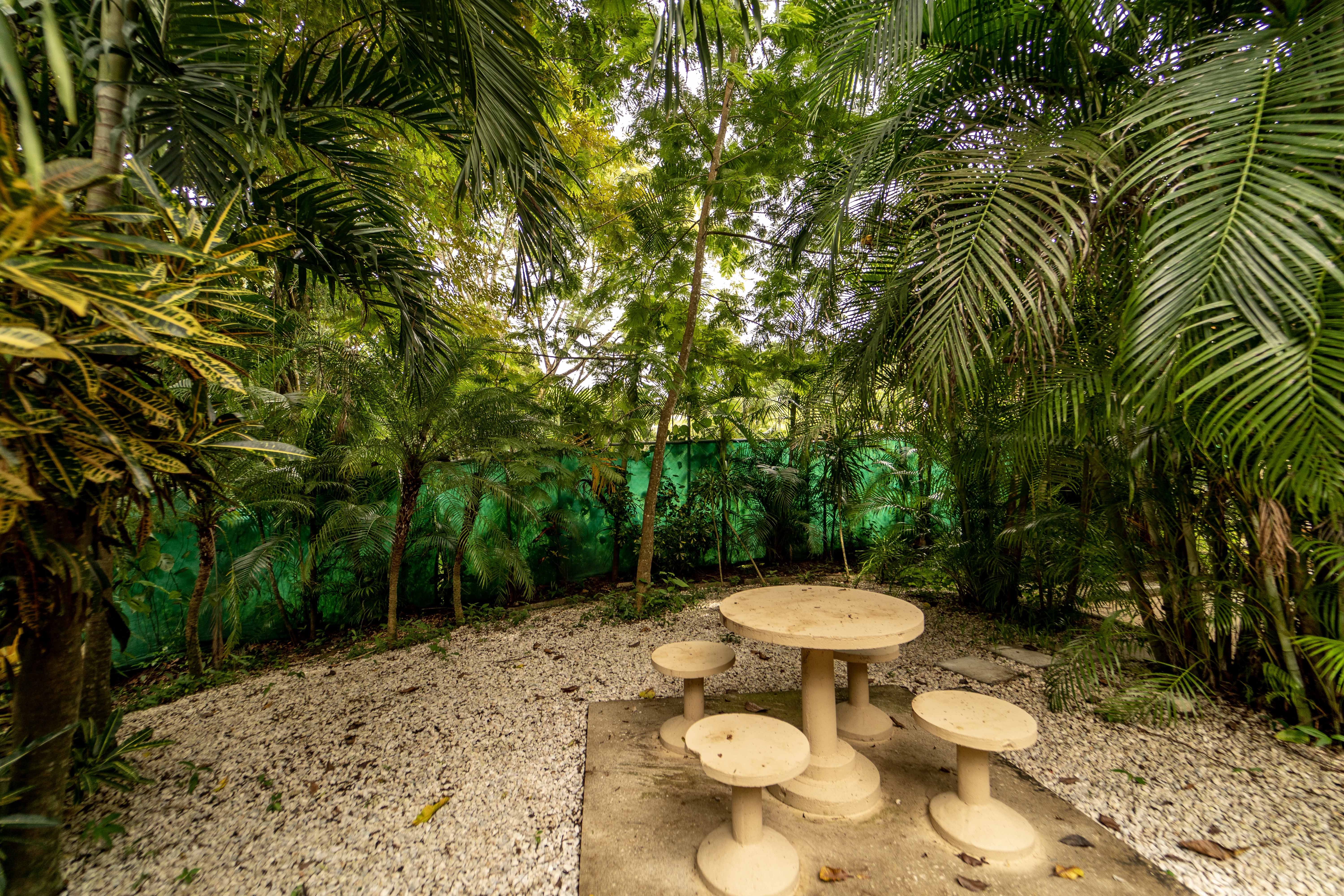 2 bed Single Family Homes For Sale in Playa Carrillo, Guanacaste - thumb 6