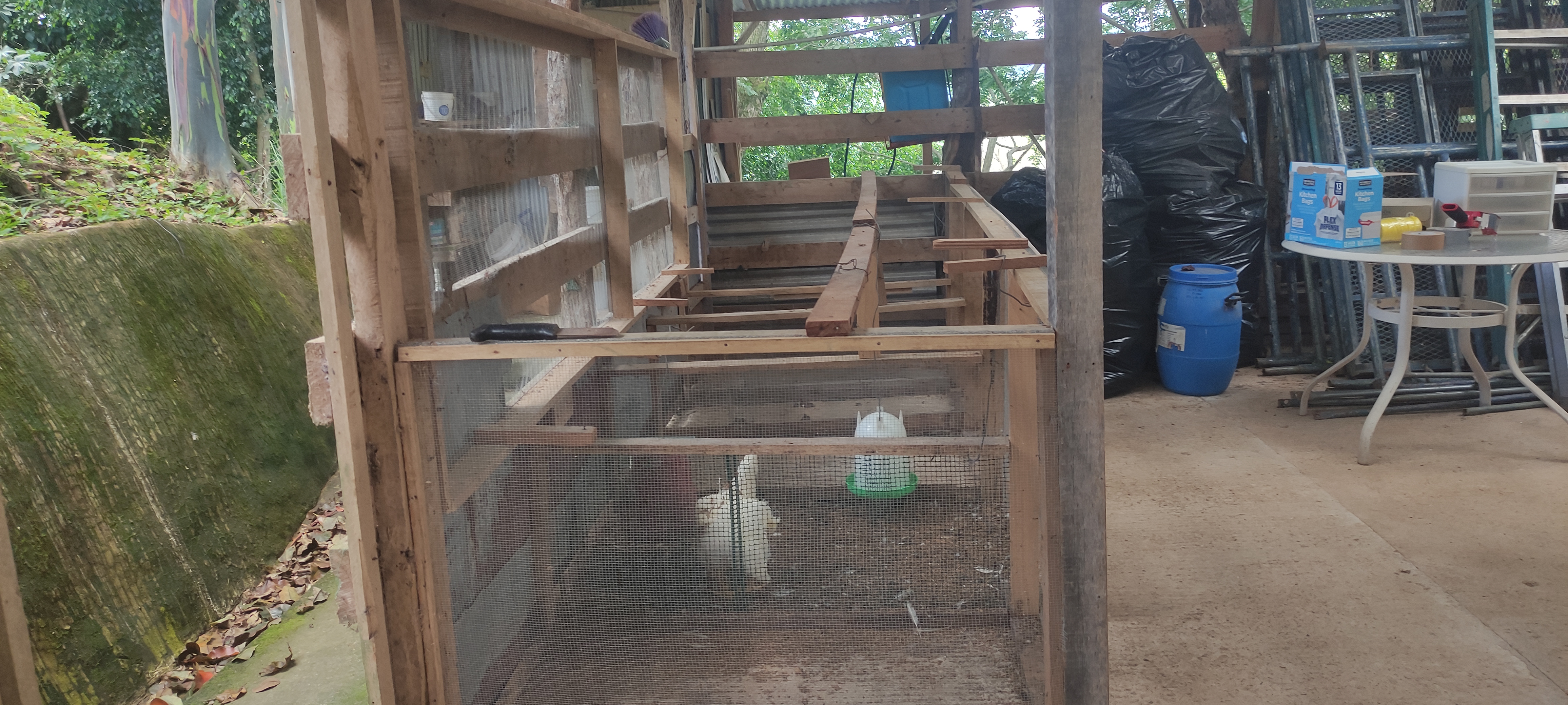 6 bed Single Family Homes For Sale in Puriscal, San Jose - thumb 13