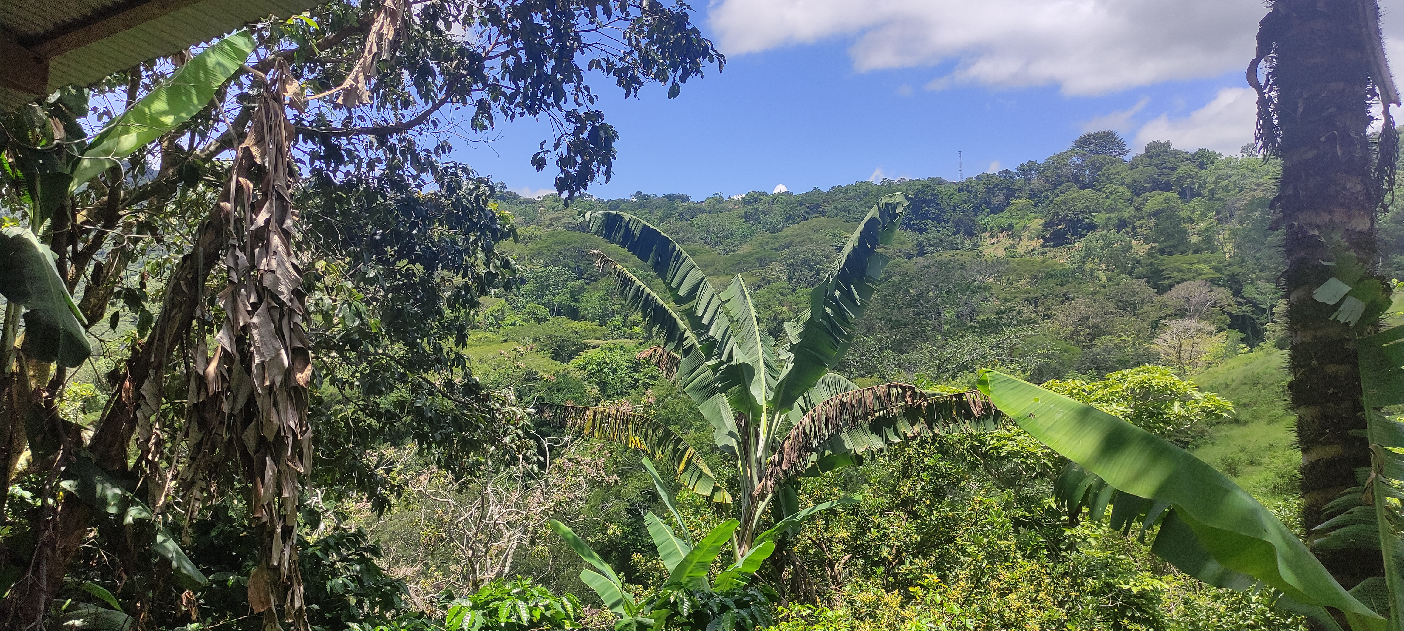 6 bed Single Family Homes For Sale in Puriscal, San Jose - thumb 3