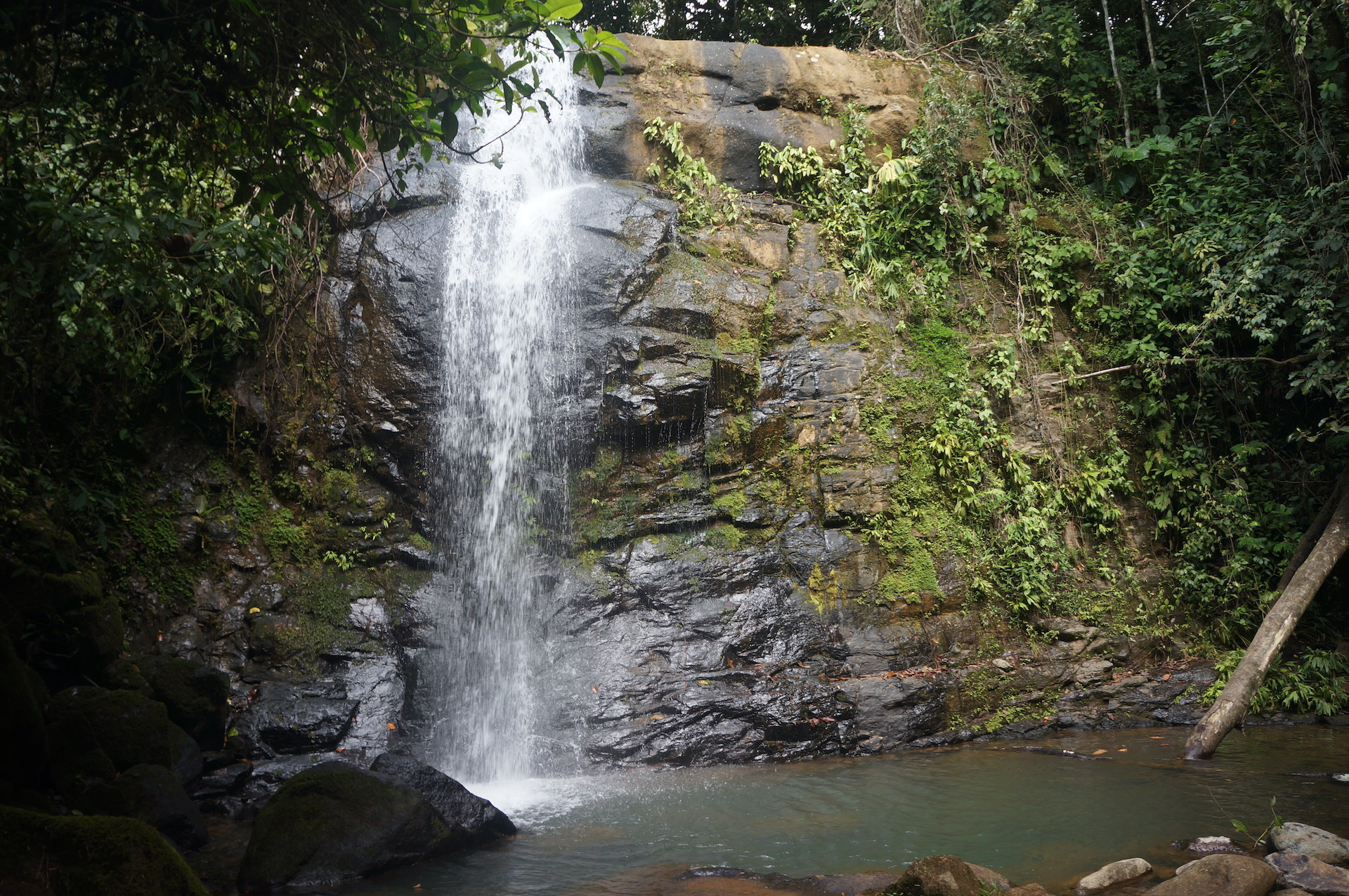 2 bed Land For Sale in Perez Zeledon, San Jose - thumb 15