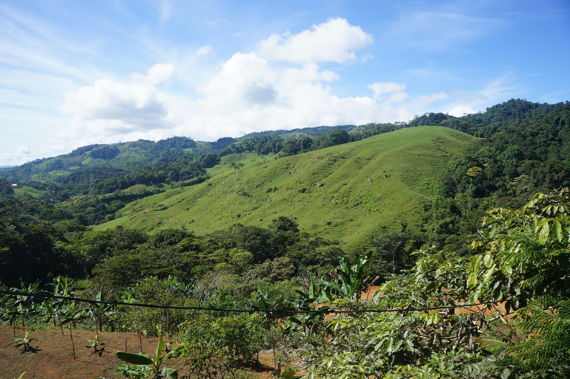 2 bed Land For Sale in Perez Zeledon, San Jose - thumb 8