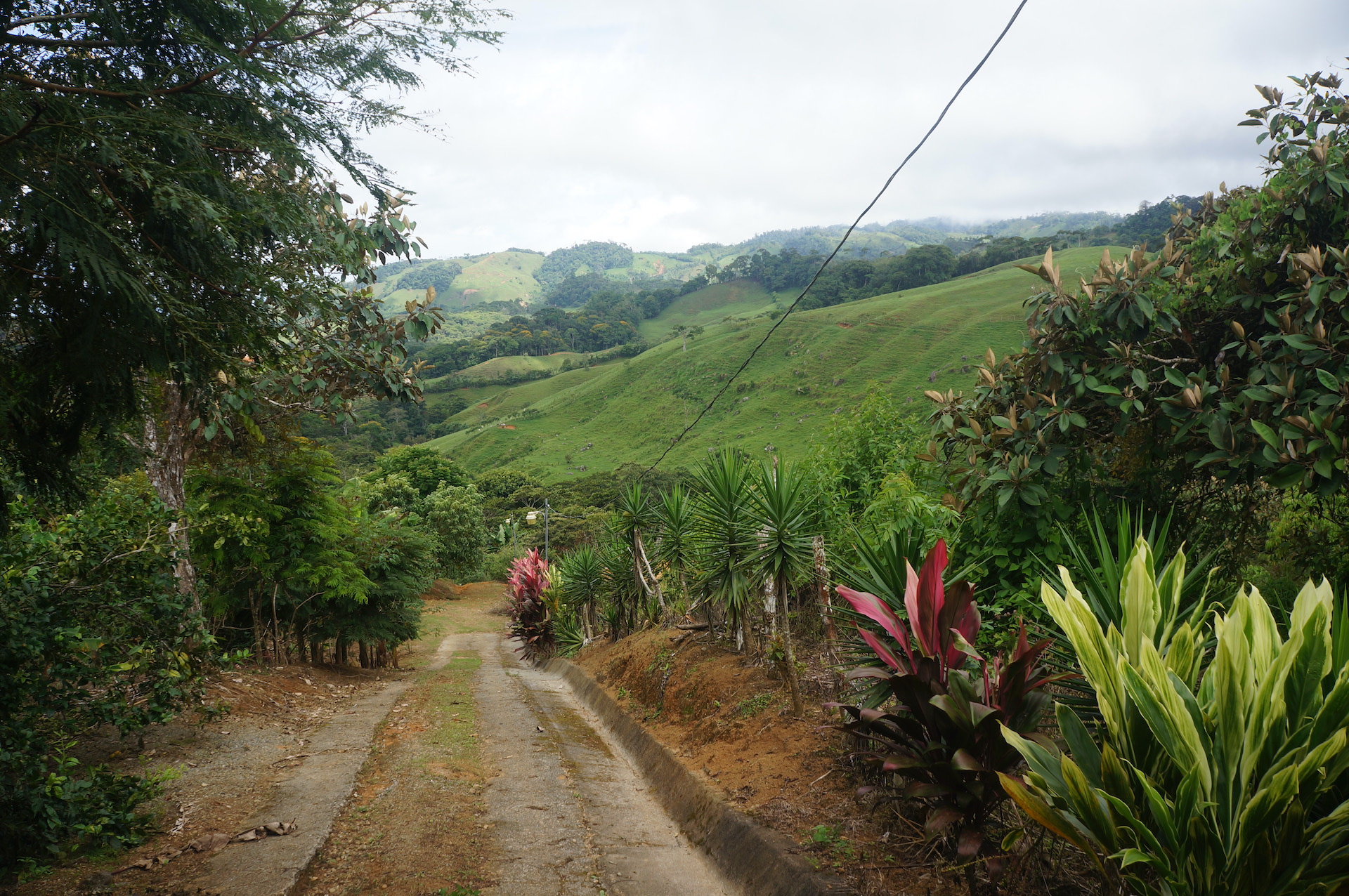 2 bed Land For Sale in Perez Zeledon, San Jose - thumb 6