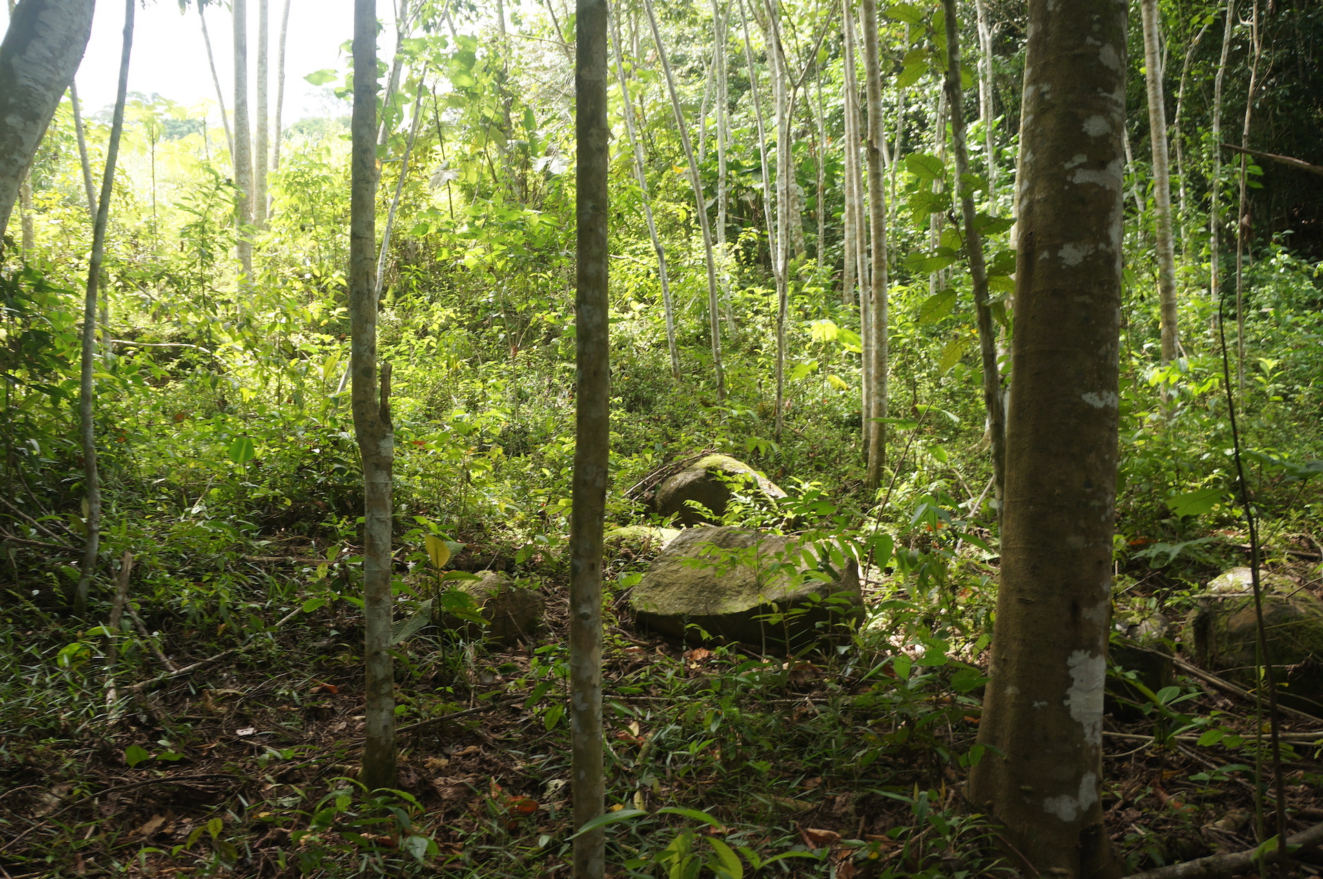 2 bed Land For Sale in Perez Zeledon, San Jose - thumb 2