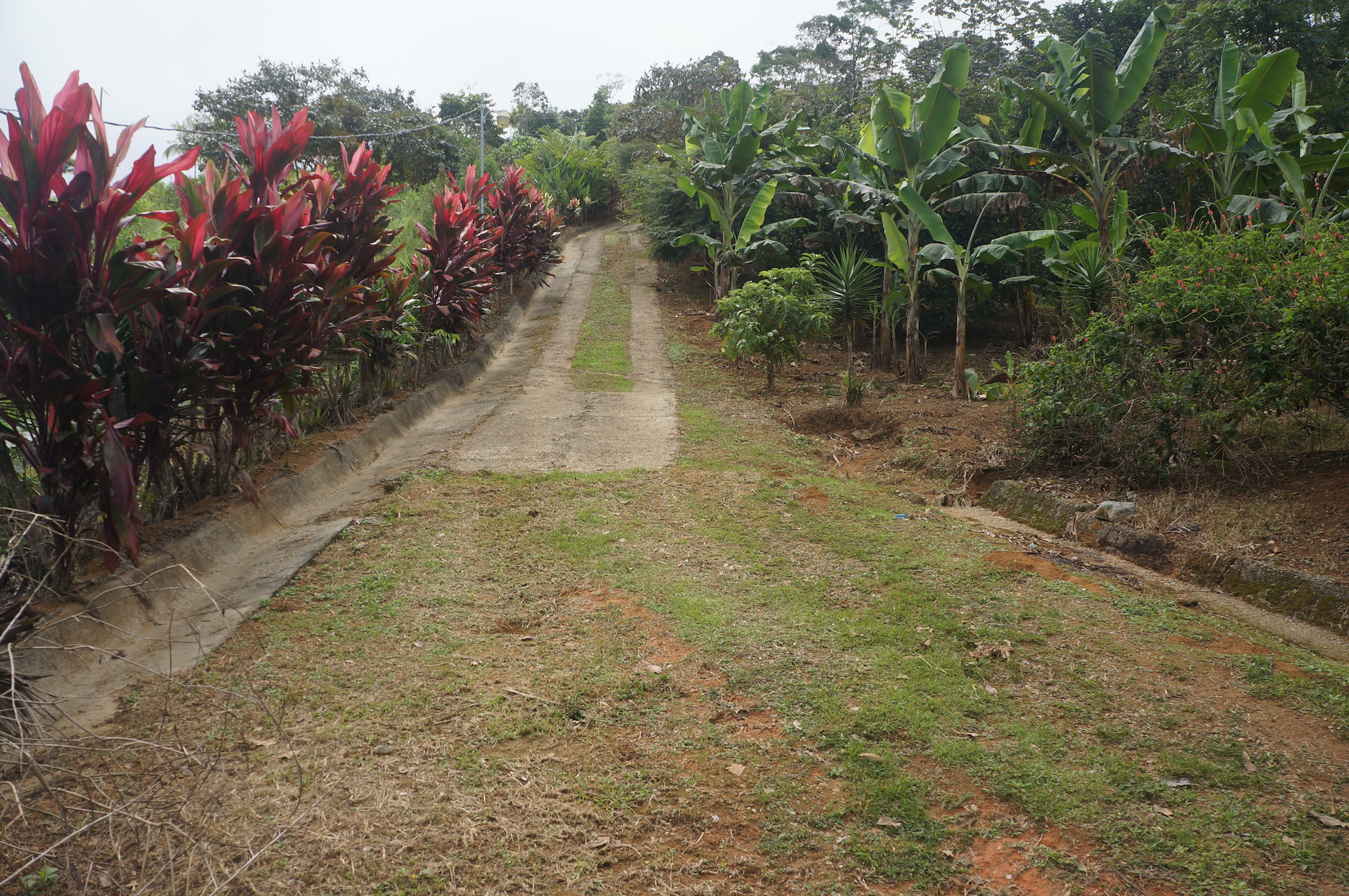 2 bed Land For Sale in Perez Zeledon, San Jose - thumb 4