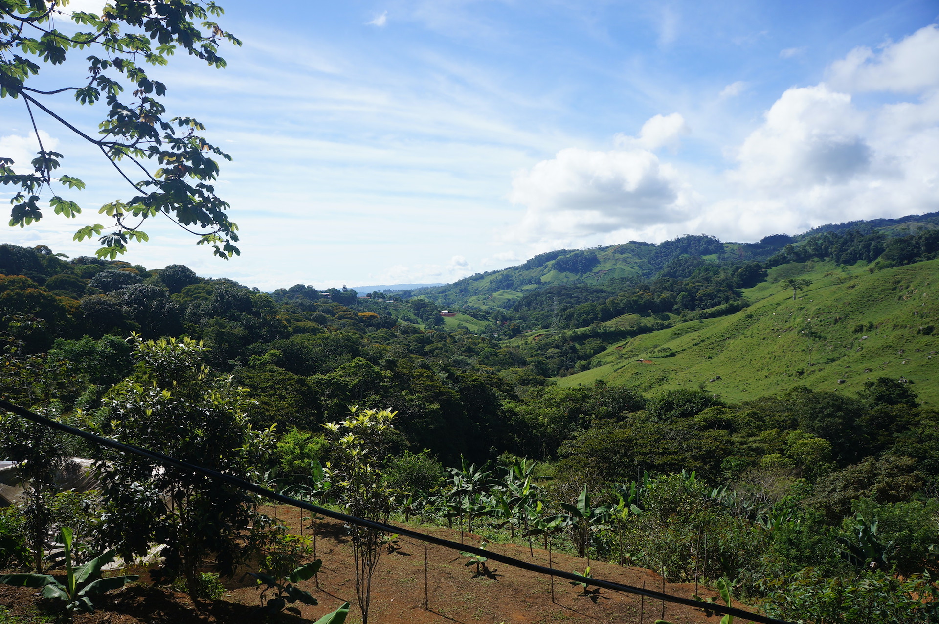 2 bed Land For Sale in Perez Zeledon, San Jose - thumb 10