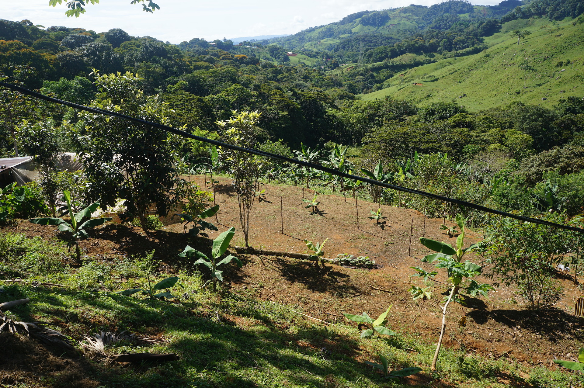 2 bed Land For Sale in Perez Zeledon, San Jose - thumb 9