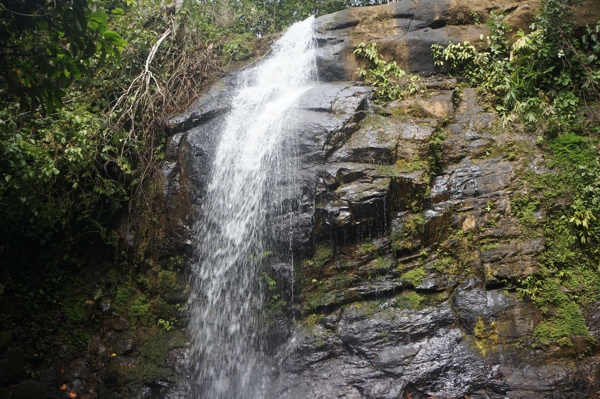 2 bed Land For Sale in Perez Zeledon, San Jose - thumb 17