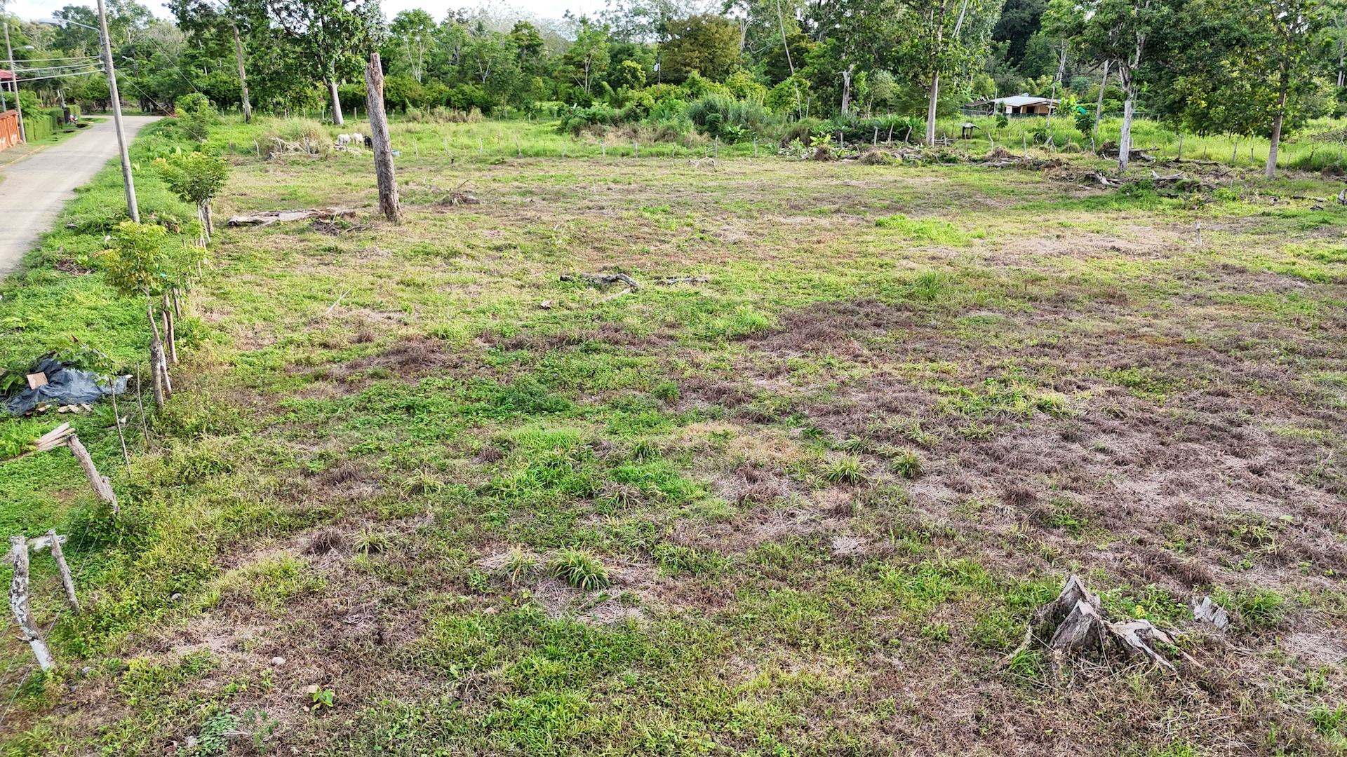 0 bed Land For Sale in Ojochal, Puntarenas - thumb 5